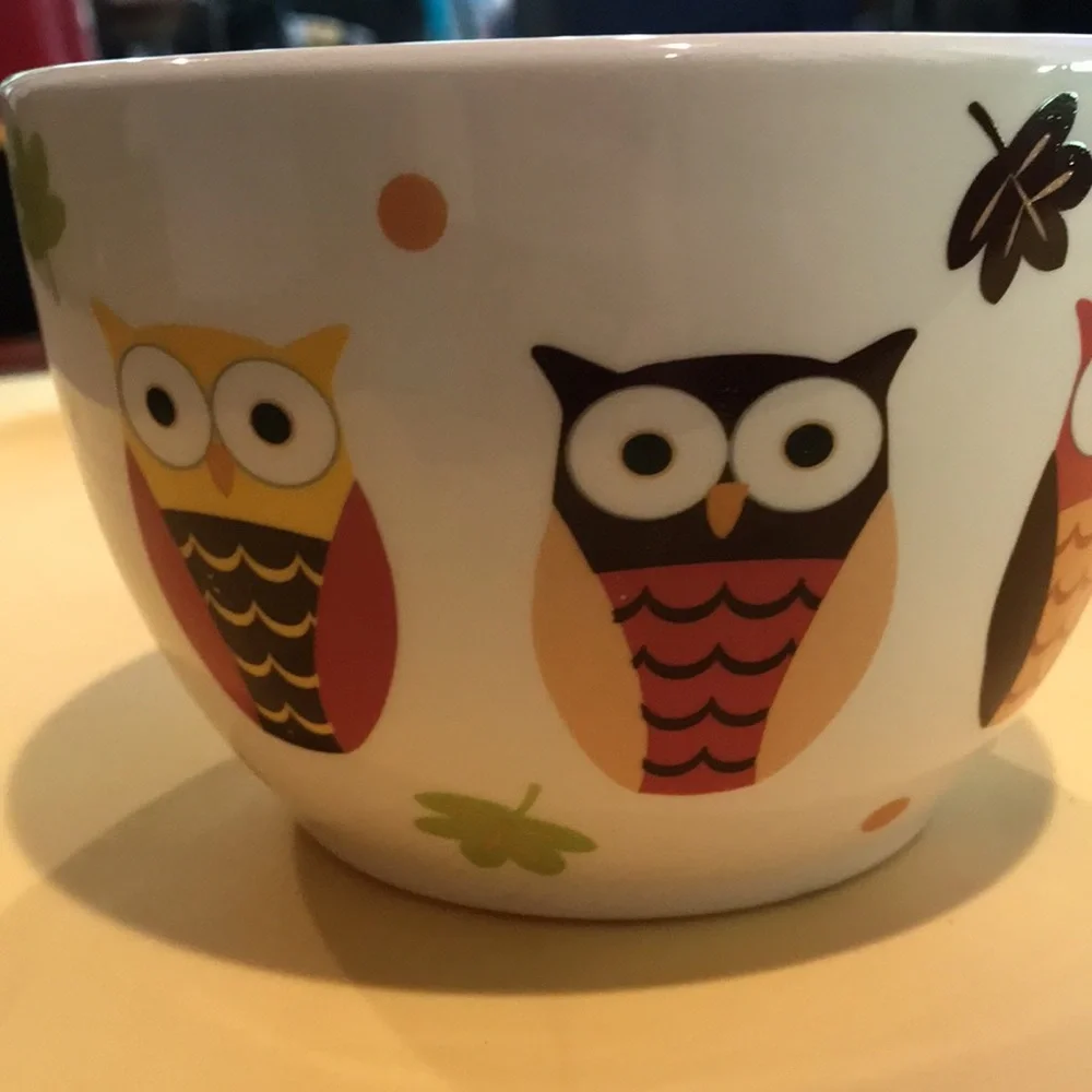 Pier 1 Bowls Hand Painted Earthenware Owl Bowl & Red Bowl